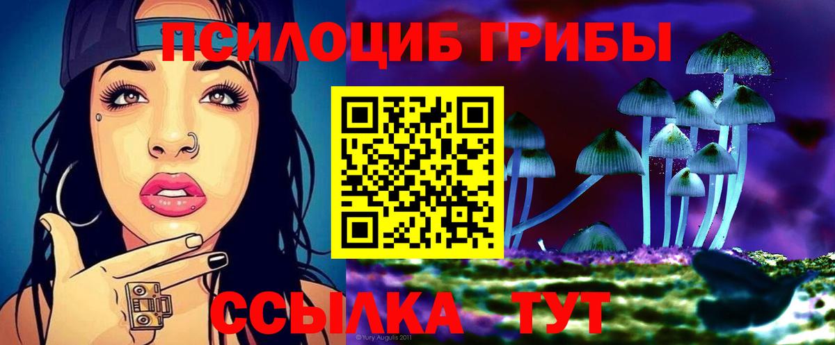 Галлюциногенные грибы Psilocybine cubensis Кириши