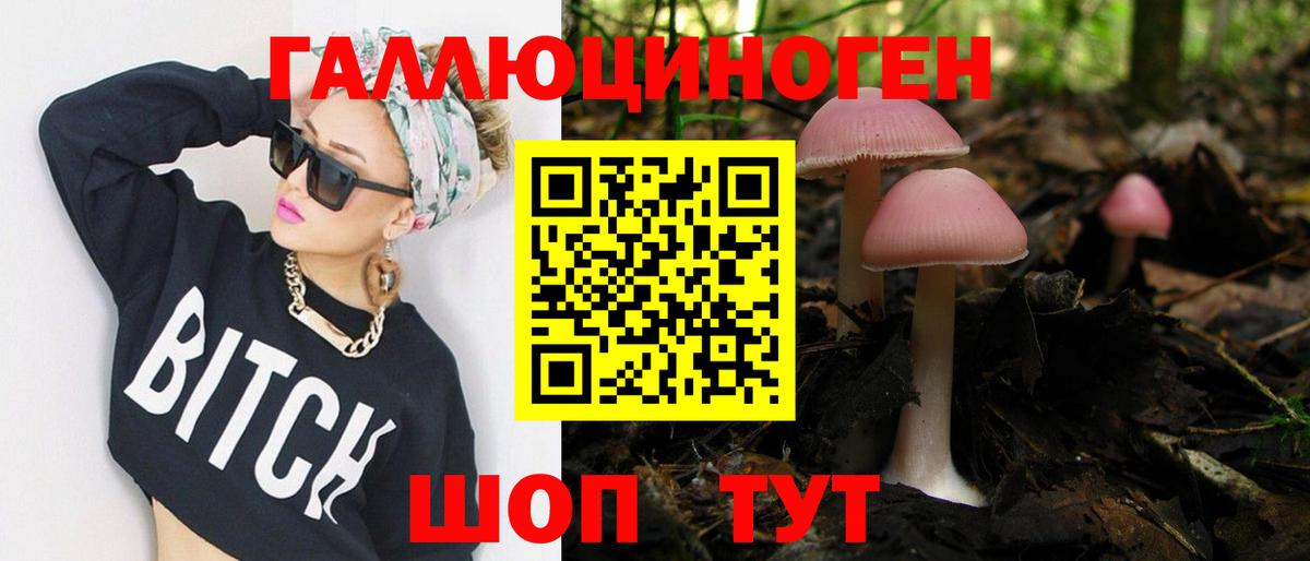 Галлюциногенные грибы Psilocybine cubensis  Вход с VPN  Псилоцибиновые грибы Cubensis  Кириши 